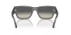 Ray-Ban Carlos RB 0947S 667571