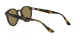 Ray-Ban RB 2180 710/73 Férfi, Női napszemüveg Ray-Ban RB 2180 710/73 Férfi, Női napszemüveg