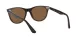 Ray-Ban Wayfarer Ii RB 2185 902/57 Férfi, Női napszemüveg