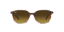 Ray-Ban Leonard RB 2193 138085