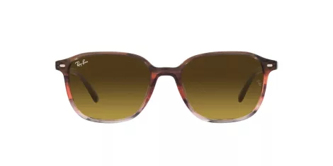Ray-Ban Leonard RB 2193 138085