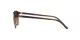 Ray-Ban Leonard RB 2193 138085