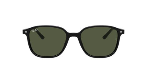 Ray-Ban Leonard RB 2193 901/31