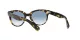 Ray-Ban Orion RB 2199 1332/3F