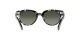 Ray-Ban Orion RB 2199 1333/71