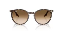 Ray-Ban RB 2204 143151