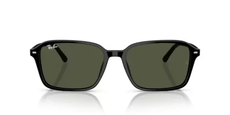 Ray-Ban Raimond RB 2231 901/31