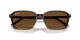 Ray-Ban Raimond RB 2231 902/57