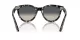 Ray-Ban Wayfarer Way RB 2241 133371