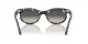 Ray-Ban Wayfarer Oval RB 2242 133371