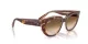 Ray-Ban Doreen RB 2286 141451