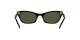 Ray-Ban Lady Burbank RB 2299 901/31