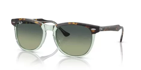 Ray-Ban Eagleeye RB 0RB2398 1376BH