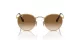 Ray-Ban Round Metal RB 0RB3447 001/51