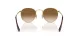 Ray-Ban Round Metal RB 0RB3447 001/51