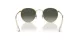 Ray-Ban Round Metal RB 0RB3447 001/71
