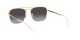 Ray-Ban RB 3588 9054/8G Férfi napszemüveg