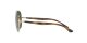 Ray-Ban RB 3675 001/31