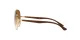Ray-Ban RB 3675 001/51