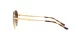 Ray-Ban RB 3681 001/13