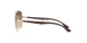 Ray-Ban RB 3683 001/51