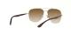 Ray-Ban RB 3683 001/51