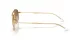 Ray-Ban RB 0RB3719 001/51