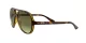 Ray-Ban Cats 5000 RB 4125 710/A6