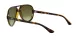 Ray-Ban Cats 5000 RB 4125 710/A6