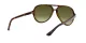 Ray-Ban Cats 5000 RB 4125 710/A6