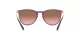 Ray-Ban Erika RB 4171 6591/14