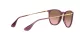 Ray-Ban Erika RB 4171 6591/14