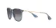 Ray-Ban Erika RB 4171 6592/T3
