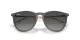 Ray-Ban Erika RB 4171 681311