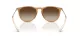 Ray-Ban Erika RB 4171 681413