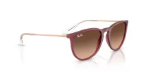 Ray-Ban Erika RB 4171 6815A5