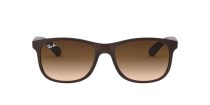 Ray-Ban Andy RB 4202 6073/13 Férfi napszemüveg