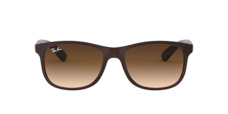 Ray-Ban Andy RB 4202 6073/13 Férfi napszemüveg