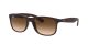 Ray-Ban Andy RB 4202 6073/13 Férfi napszemüveg