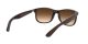 Ray-Ban Andy RB 4202 6073/13 Férfi napszemüveg
