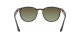 Ray-Ban RB 4259 731/E8