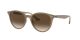 Ray-Ban RB 4305 6166/13