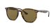 Ray-Ban RB 4306 710/73 Férfi, Női napszemüveg