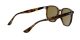 Ray-Ban RB 4306 710/73 Férfi, Női napszemüveg