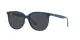 Ray-Ban RB 4378 669487