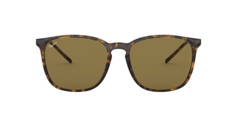 Ray-Ban RB 4387 710/73 Férfi, Női napszemüveg