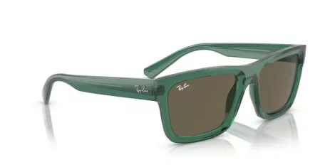 Ray-Ban Warren RB 0RB4396 6681/3