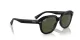 Ray-Ban Erik RB 0RB4398 901/31