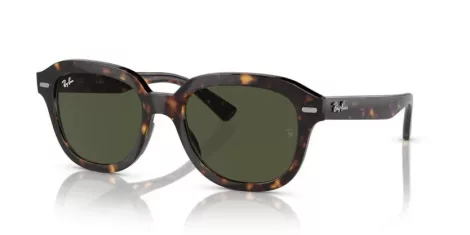 Ray-Ban Erik RB 0RB4398 902/31