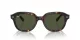 Ray-Ban Erik RB 0RB4398 902/31